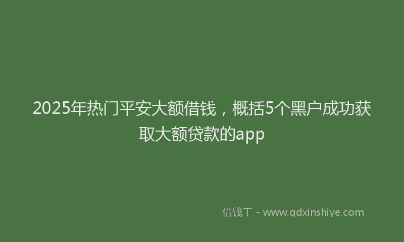 2025年热门平安大额借钱，概括5个黑户成功获取大额贷款的app