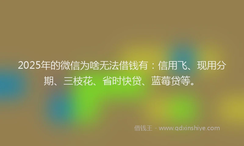 2025年的微信为啥无法借钱有：信用飞、现用分期、三枝花、省时快贷、蓝莓贷等。
