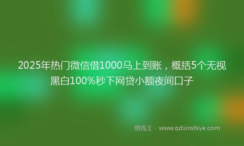 2025年热门微信借1000马上到账，概括5个无视黑白100%秒下网贷小额夜间口子