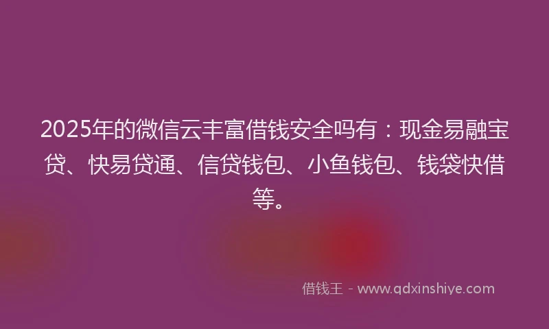 2025年的微信云丰富借钱安全吗有：现金易融宝贷、快易贷通、信贷钱包、小鱼钱包、钱袋快借等。