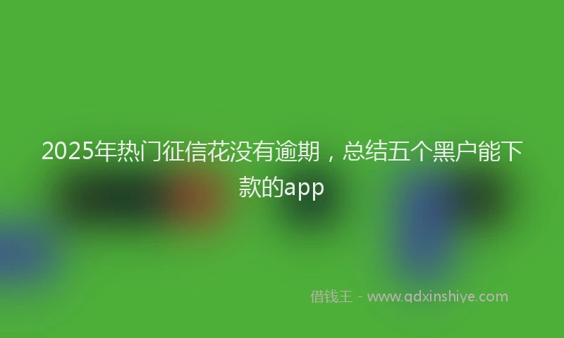 2025年热门征信花没有逾期，总结五个黑户能下款的app