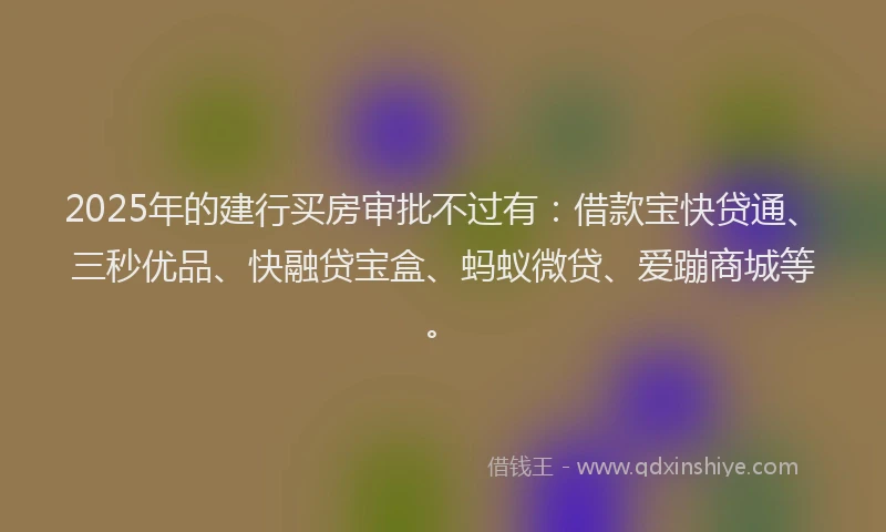 2025年的建行买房审批不过有：借款宝快贷通、三秒优品、快融贷宝盒、蚂蚁微贷、爱蹦商城等。