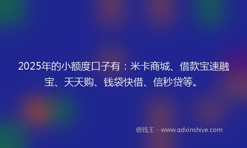 2025年的小额度口子有：米卡商城、借款宝速融宝、天天购、钱袋快借、信秒贷等。
