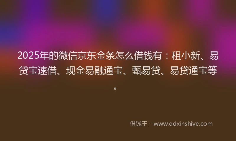 2025年的微信京东金条怎么借钱有：租小新、易贷宝速借、现金易融通宝、甄易贷、易贷通宝等。