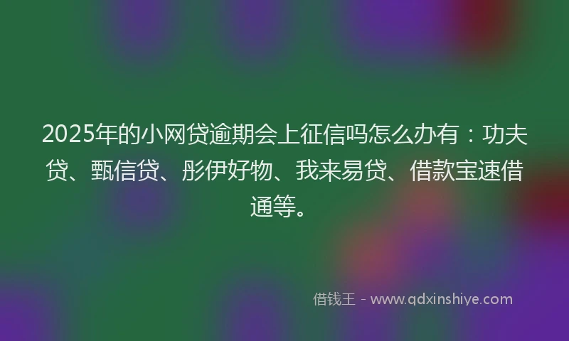 2025年的小网贷逾期会上征信吗怎么办有：功夫贷、甄信贷、彤伊好物、我来易贷、借款宝速借通等。