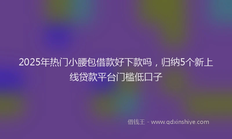 2025年热门小腰包借款好下款吗，归纳5个新上线贷款平台门槛低口子