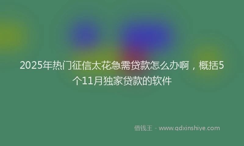 2025年热门征信太花急需贷款怎么办啊，概括5个11月独家贷款的软件