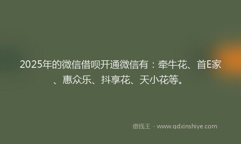 2025年的微信借呗开通微信有：牵牛花、首E家、惠众乐、抖享花、天小花等。