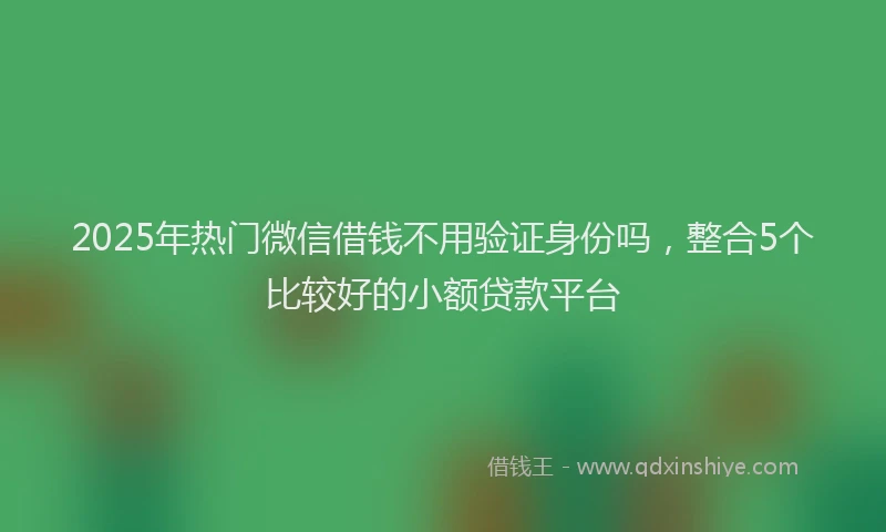 2025年热门微信借钱不用验证身份吗，整合5个比较好的小额贷款平台