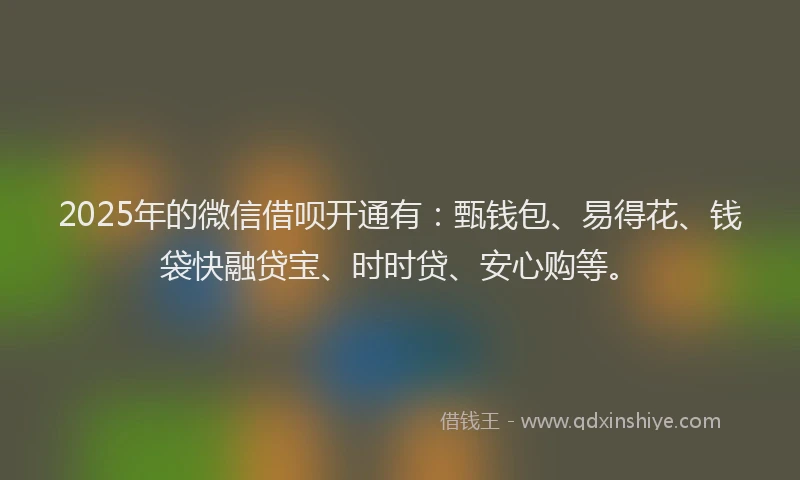 2025年的微信借呗开通有：甄钱包、易得花、钱袋快融贷宝、时时贷、安心购等。