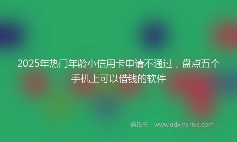 2025年热门年龄小信用卡申请不通过，盘点五个手机上可以借钱的软件