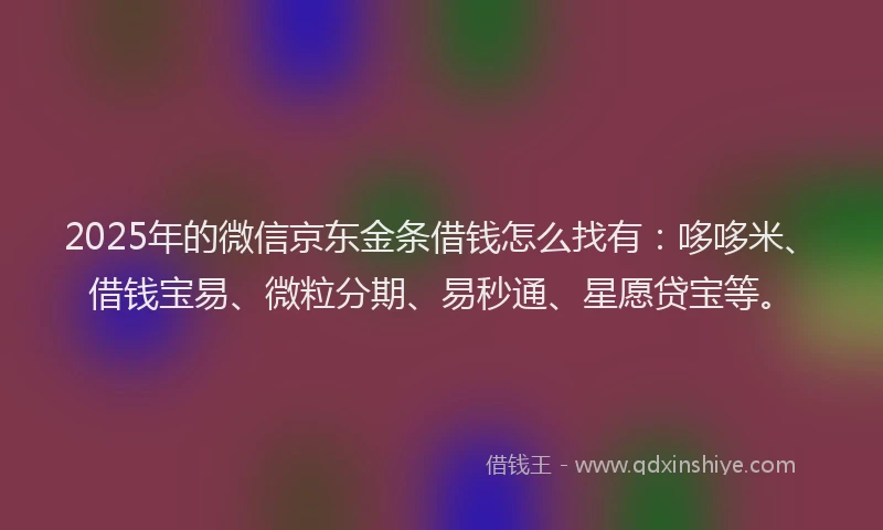 2025年的微信京东金条借钱怎么找有：哆哆米、借钱宝易、微粒分期、易秒通、星愿贷宝等。