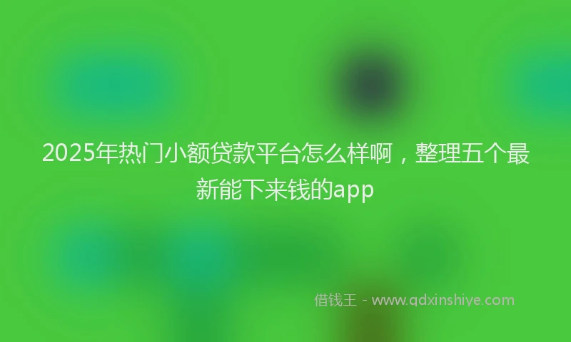 2025年热门小额贷款平台怎么样啊，整理五个最新能下来钱的app