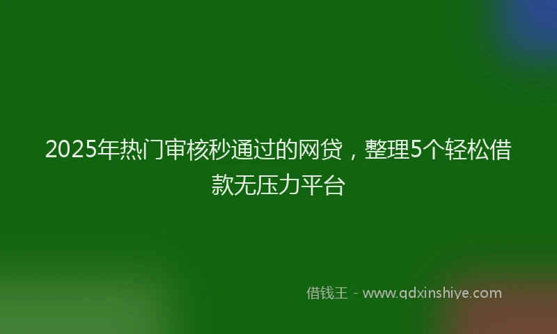 2025年热门审核秒通过的网贷，整理5个轻松借款无压力平台