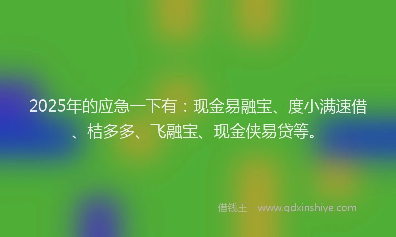 2025年的应急一下有：现金易融宝、度小满速借、桔多多、飞融宝、现金侠易贷等。