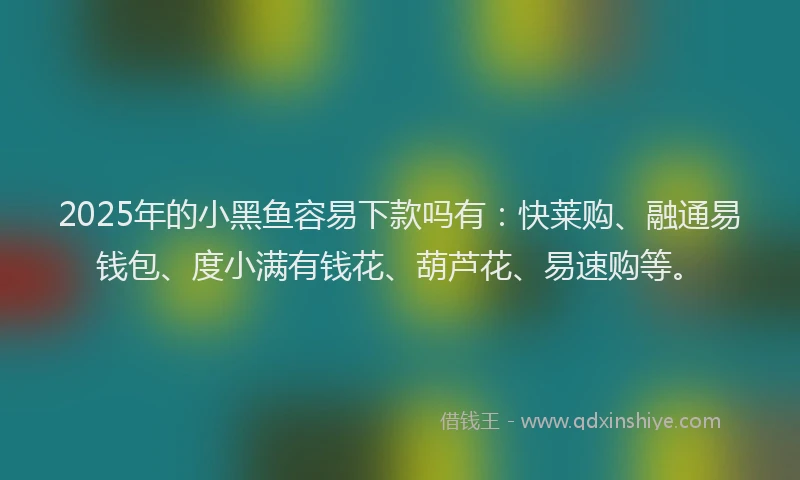 2025年的小黑鱼容易下款吗有：快莱购、融通易钱包、度小满有钱花、葫芦花、易速购等。