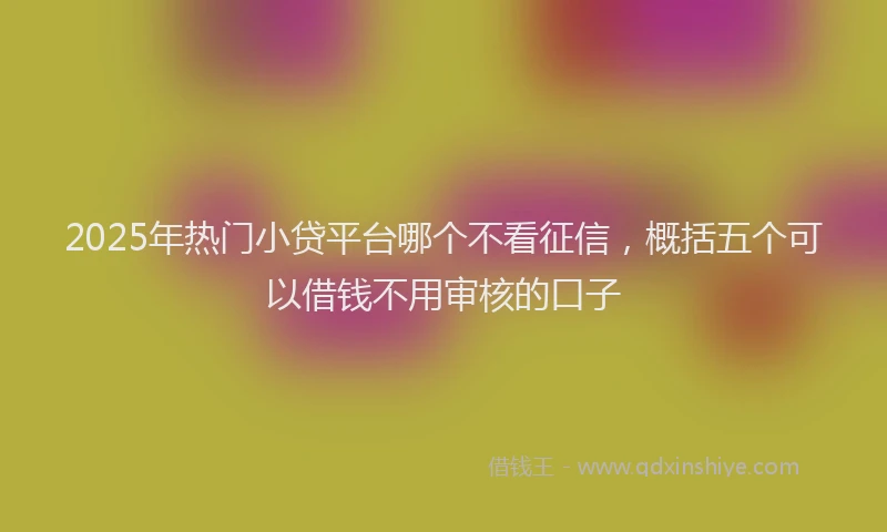 2025年热门小贷平台哪个不看征信，概括五个可以借钱不用审核的口子
