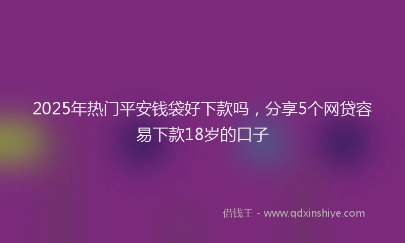 2025年热门平安钱袋好下款吗，分享5个网贷容易下款18岁的口子