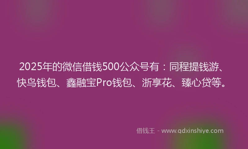 2025年的微信借钱500公众号有：同程提钱游、快鸟钱包、鑫融宝Pro钱包、浙享花、臻心贷等。