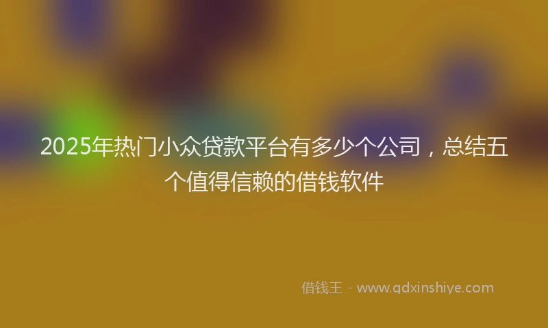 2025年热门小众贷款平台有多少个公司，总结五个值得信赖的借钱软件