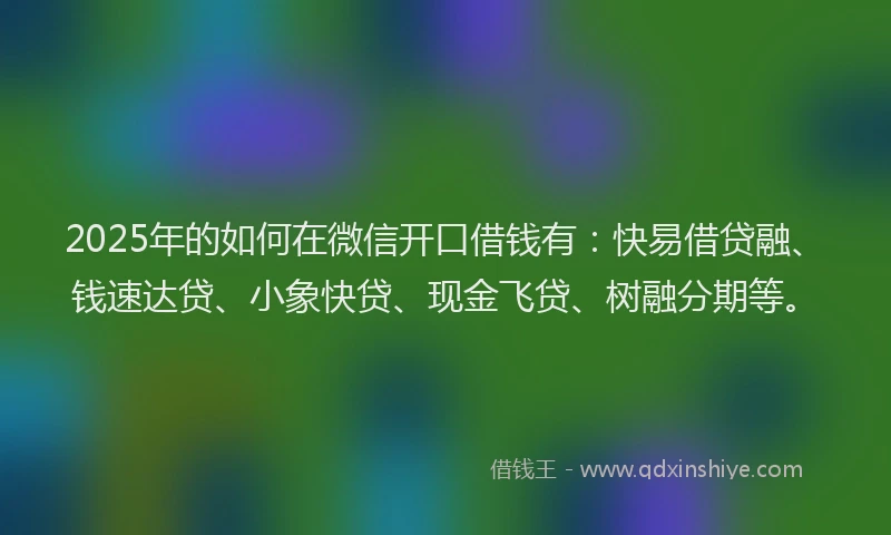 2025年的如何在微信开口借钱有：快易借贷融、钱速达贷、小象快贷、现金飞贷、树融分期等。