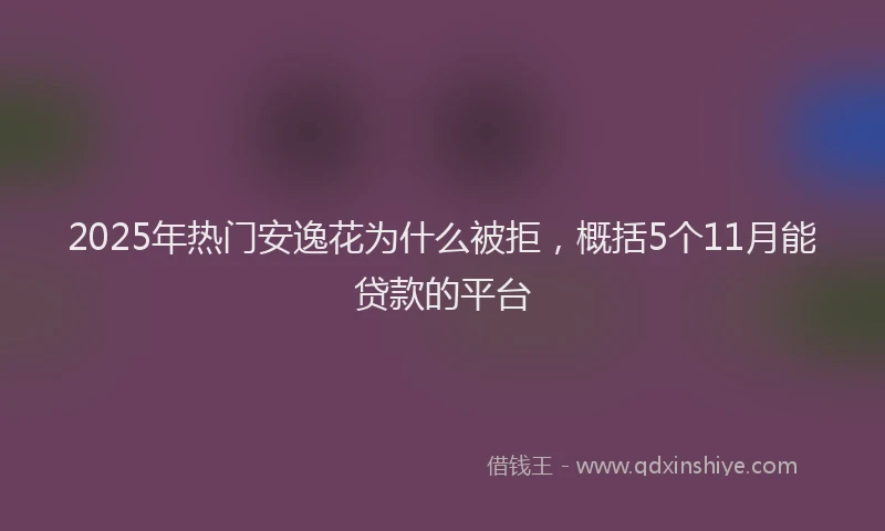 2025年热门安逸花为什么被拒，概括5个11月能贷款的平台