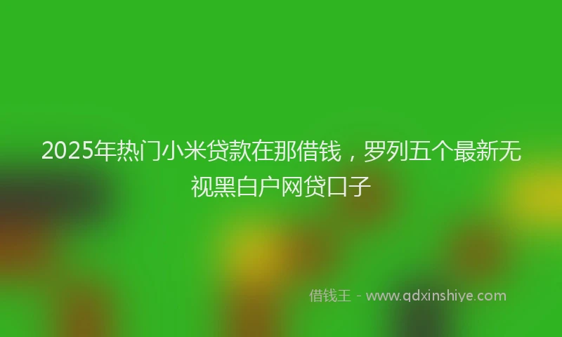 2025年热门小米贷款在那借钱，罗列五个最新无视黑白户网贷口子
