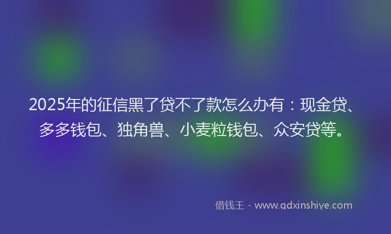 2025年的征信黑了贷不了款怎么办有：现金贷、多多钱包、独角兽、小麦粒钱包、众安贷等。