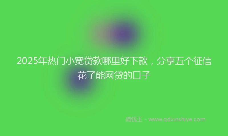 2025年热门小宽贷款哪里好下款，分享五个征信花了能网贷的口子