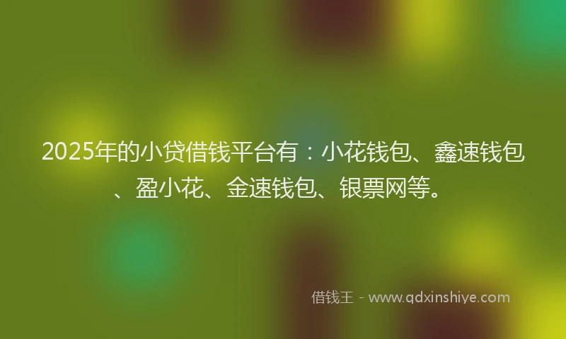 2025年的小贷借钱平台有：小花钱包、鑫速钱包、盈小花、金速钱包、银票网等。