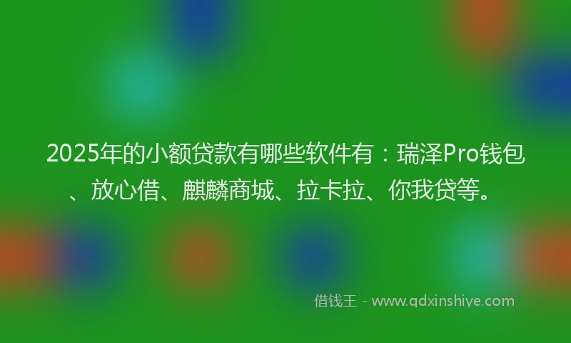 2025年的小额贷款有哪些软件有：瑞泽Pro钱包、放心借、麒麟商城、拉卡拉、你我贷等。