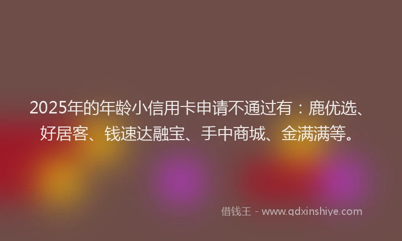 2025年的年龄小信用卡申请不通过有：鹿优选、好居客、钱速达融宝、手中商城、金满满等。
