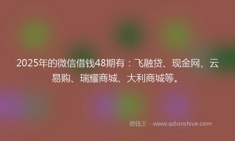 2025年的微信借钱48期有：飞融贷、现金网、云易购、瑞耀商城、大利商城等。