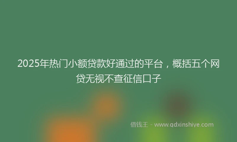 2025年热门小额贷款好通过的平台，概括五个网贷无视不查征信口子