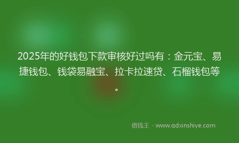 2025年的好钱包下款审核好过吗有：金元宝、易捷钱包、钱袋易融宝、拉卡拉速贷、石榴钱包等。