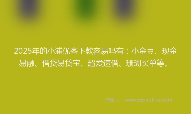 2025年的小浦优客下款容易吗有：小金豆、现金易融、借贷易贷宝、超爱速借、珊瑚买单等。