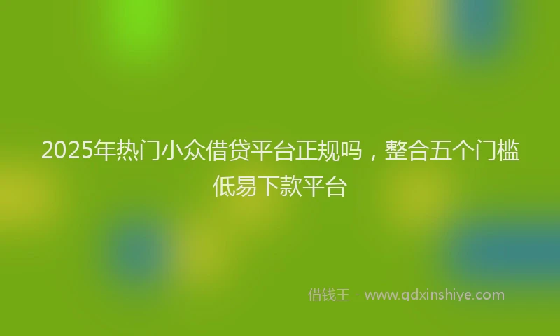 2025年热门小众借贷平台正规吗，整合五个门槛低易下款平台