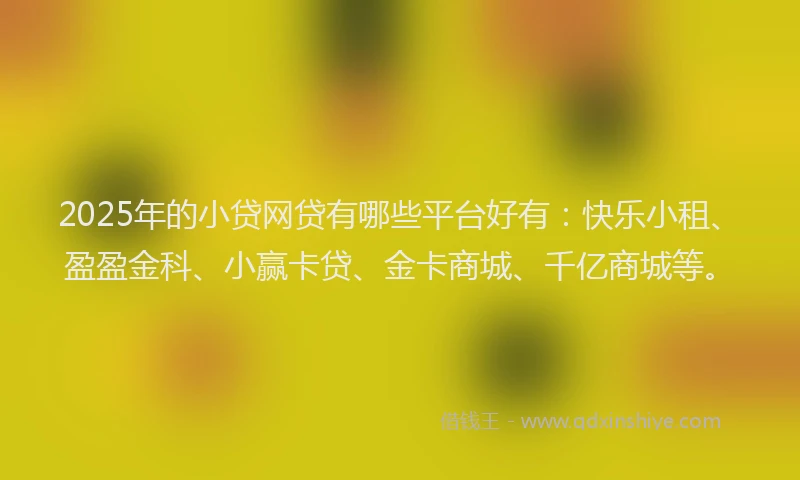 2025年的小贷网贷有哪些平台好有：快乐小租、盈盈金科、小赢卡贷、金卡商城、千亿商城等。