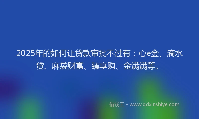2025年的如何让贷款审批不过有：心e金、滴水贷、麻袋财富、臻享购、金满满等。