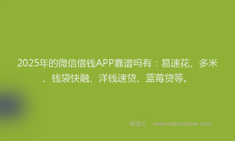 2025年的微信借钱APP靠谱吗有：易速花、多米、钱袋快融、洋钱速贷、蓝莓贷等。