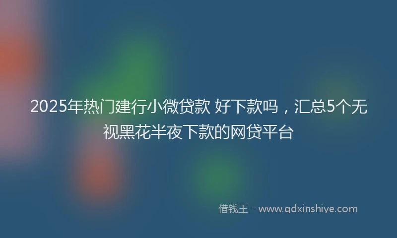 2025年热门建行小微贷款 好下款吗，汇总5个无视黑花半夜下款的网贷平台