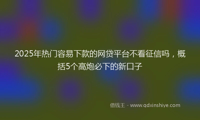 2025年热门容易下款的网贷平台不看征信吗，概括5个高炮必下的新口子