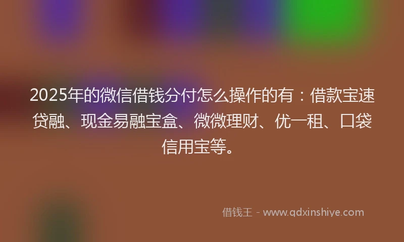 2025年的微信借钱分付怎么操作的有：借款宝速贷融、现金易融宝盒、微微理财、优一租、口袋信用宝等。