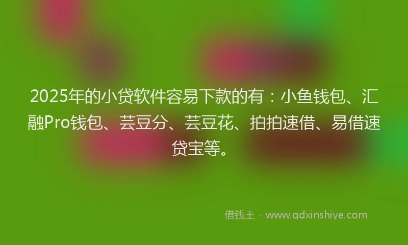 2025年的小贷软件容易下款的有：小鱼钱包、汇融Pro钱包、芸豆分、芸豆花、拍拍速借、易借速贷宝等。