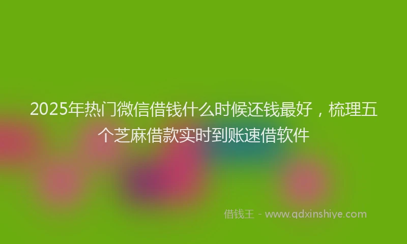 2025年热门微信借钱什么时候还钱最好，梳理五个芝麻借款实时到账速借软件