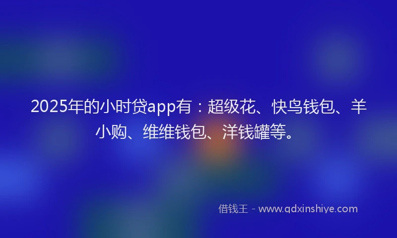 2025年的小时贷app有：超级花、快鸟钱包、羊小购、维维钱包、洋钱罐等。