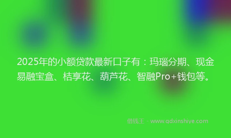 2025年的小额贷款最新口子有：玛瑙分期、现金易融宝盒、桔享花、葫芦花、智融Pro+钱包等。