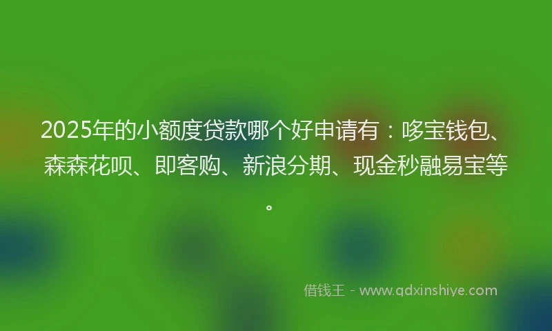 2025年的小额度贷款哪个好申请有：哆宝钱包、森森花呗、即客购、新浪分期、现金秒融易宝等。