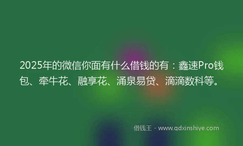 2025年的微信你面有什么借钱的有：鑫速Pro钱包、牵牛花、融享花、涌泉易贷、滴滴数科等。