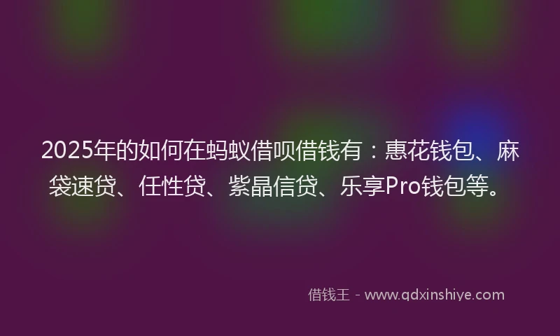 2025年的如何在蚂蚁借呗借钱有：惠花钱包、麻袋速贷、任性贷、紫晶信贷、乐享Pro钱包等。
